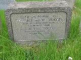image of grave number 77973